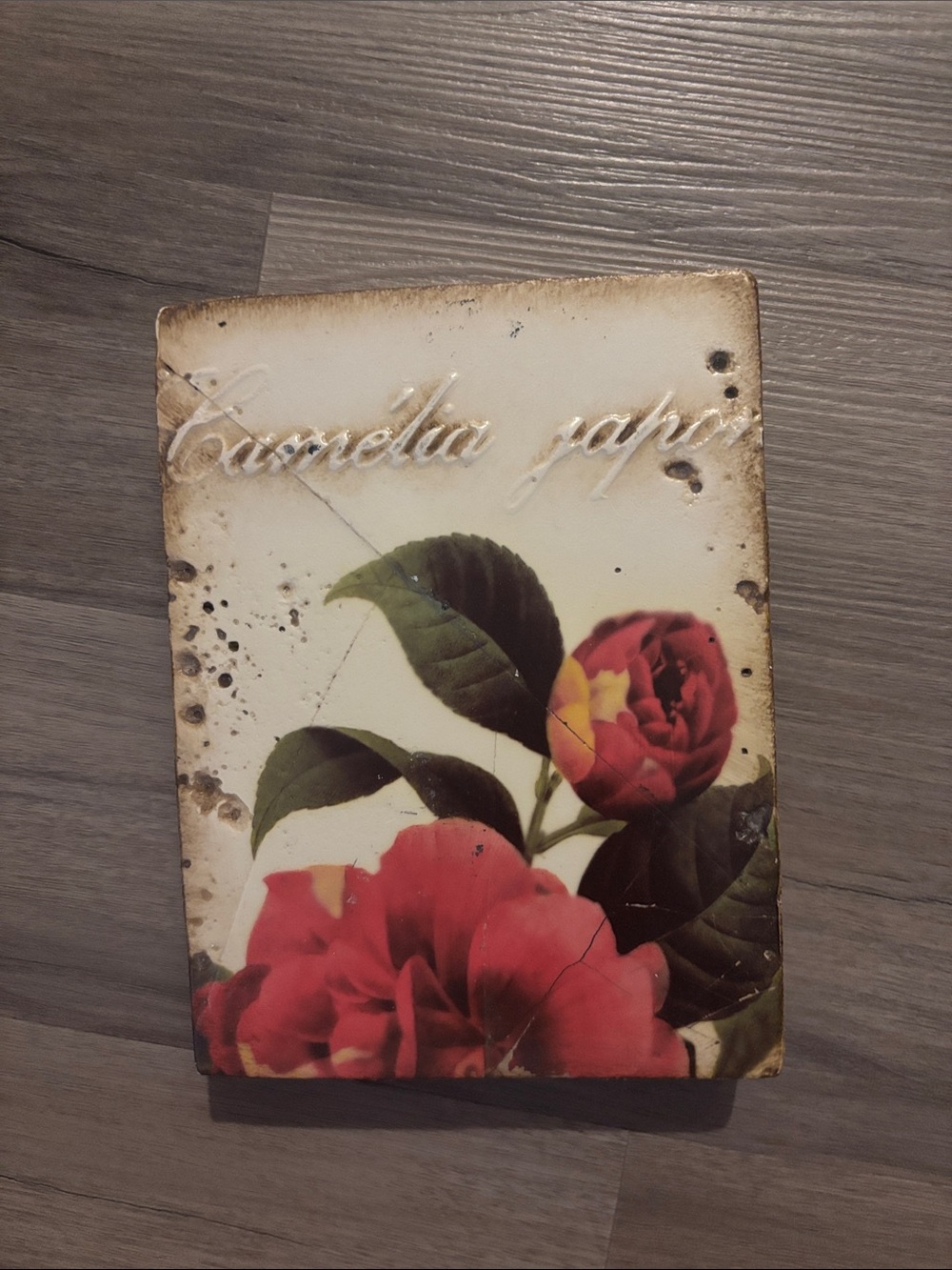 Sid Dickens Memory Block T 219 Camelia
